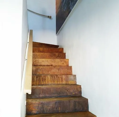 Buenavista Ocean View بويرتو ذيل كارمين